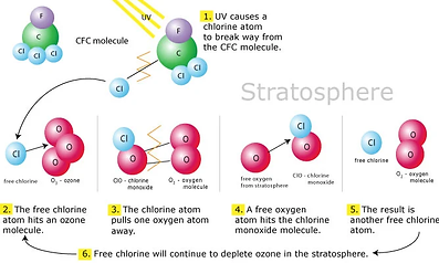 Ozone layer and CFCs.webp