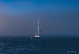 Tofino, Vancouver Island, British Columbia, fog, sail boat
