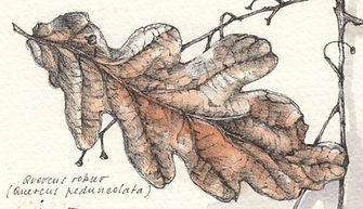 sketchbook 68 23_edited.jpg