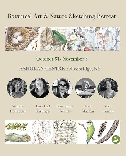 ashokan per sito.1.jpeg