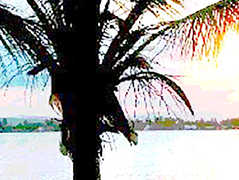 untitled image