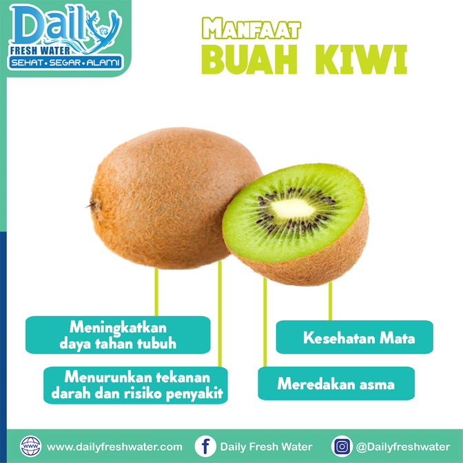 Manfaat buah Kiwi
