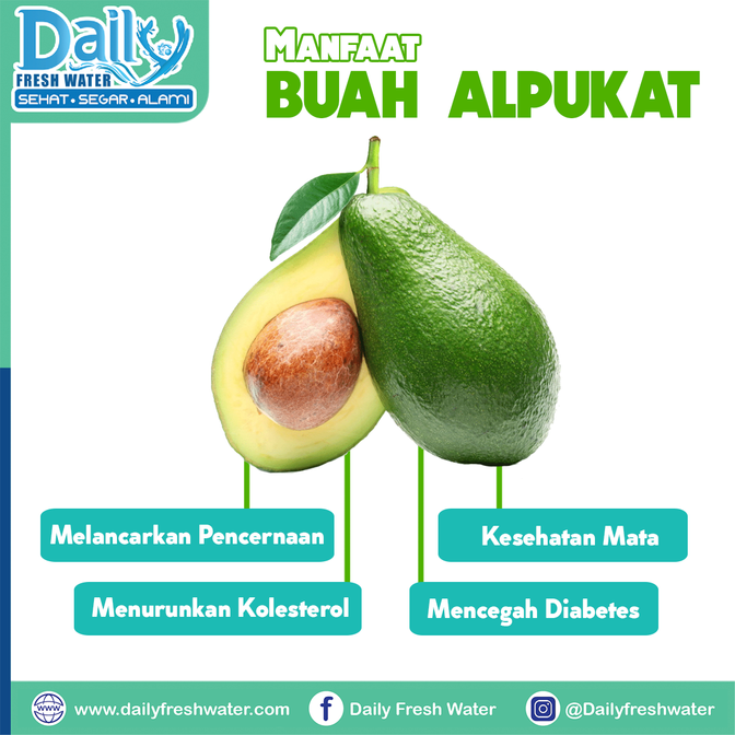 Manfaat buah Alpukat