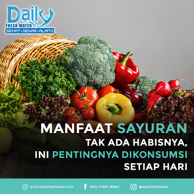 Manfaat Sayuran tak ada habisnya ini Pentingnya di konsumsi Setiap Hari