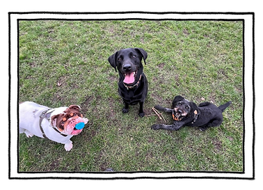 Untitled design (34).png