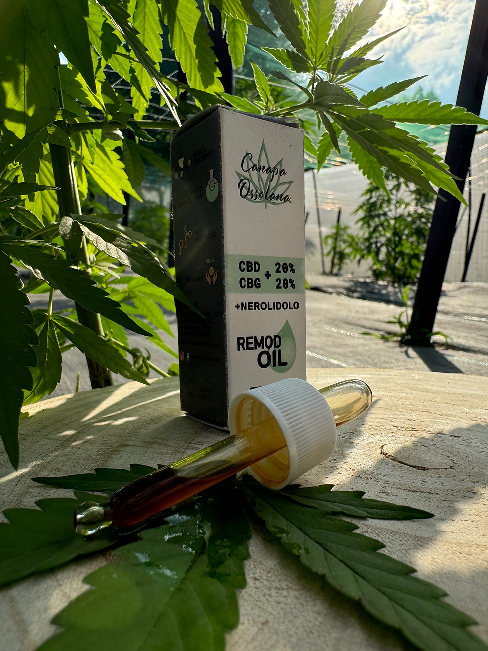 Miniatura: Remodoil