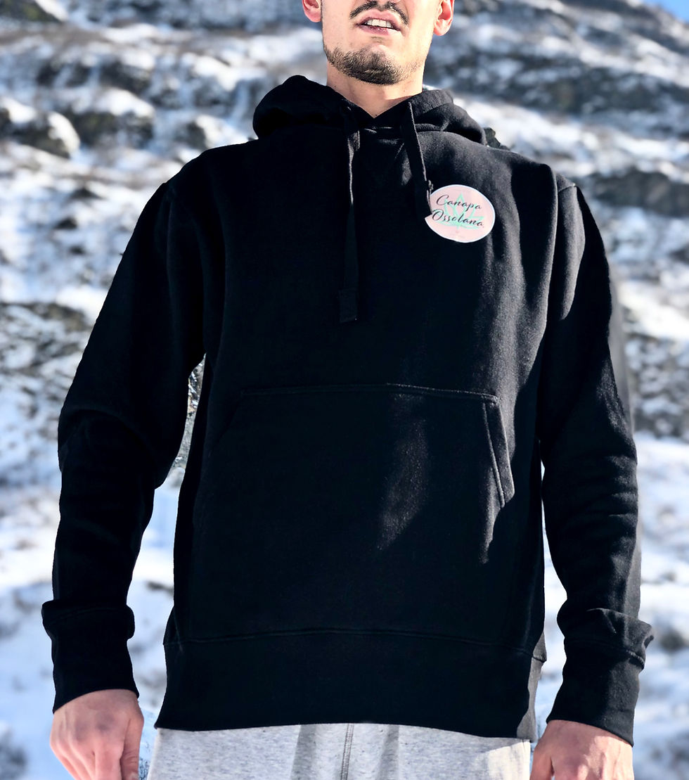 Thumbnail: CO sweatshirt
