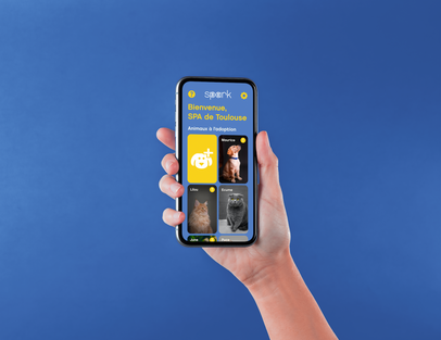 Spark Shelters Interface