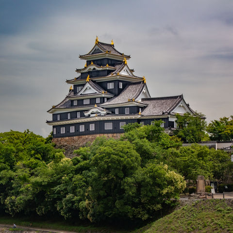 Okayama castel