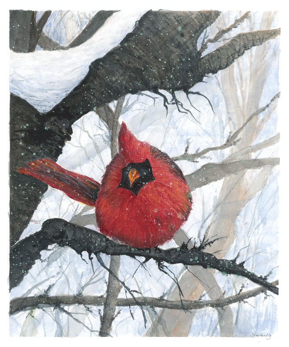 Cardinal Visitor Notecards w/envelopes, set of 3