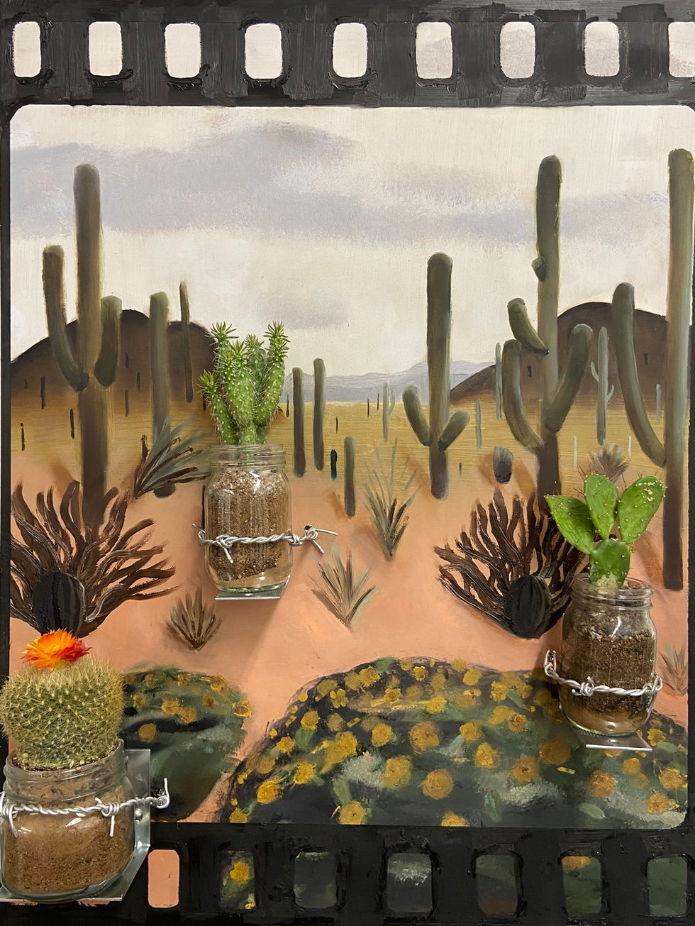 "Urbanized Desert"
