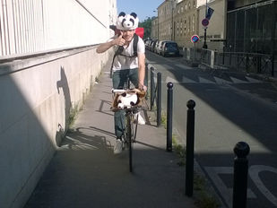 Bring It To Me, Interview du Panda qui te livre chez toi!