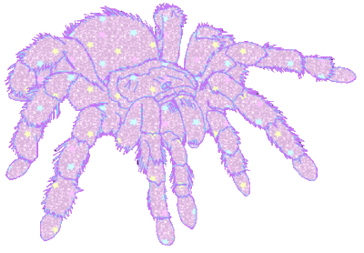 Gif aranha rosa com textura em glitter