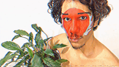 Animated GIF-downsized_large(1).gif