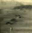 lavdav116.jpg
