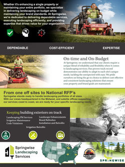 Springwise Logo Home | Springwise