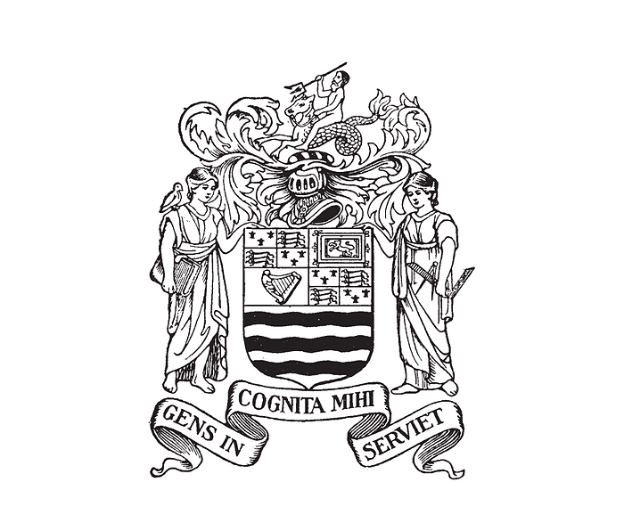 gala (9).png