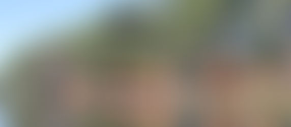Obras no Lago do Holandês não ofuscam atrativos para turistas e amantes da fotografia