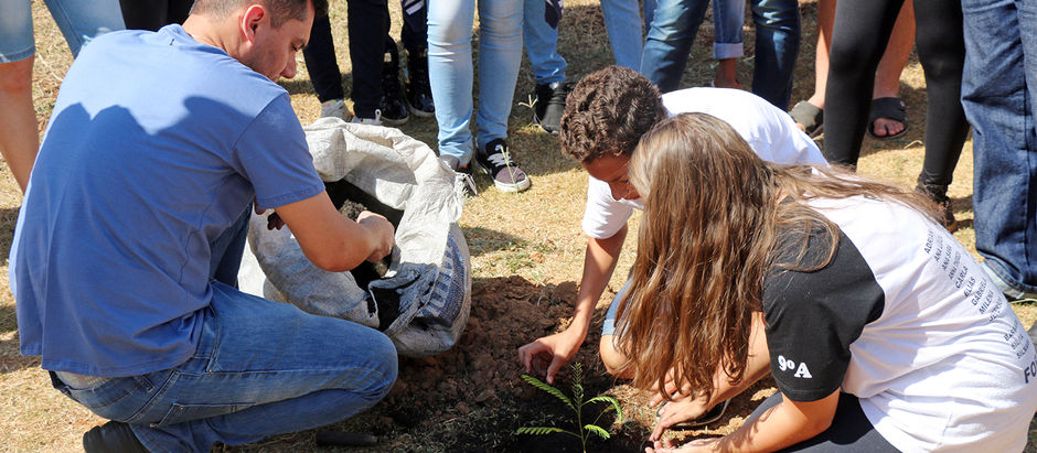 Estudantes desenvolvem atividades de conscientização sobre o Dia da Árvore