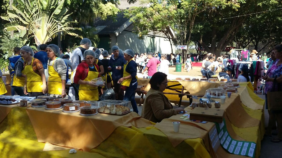 Mercado das Pulgas Holambra