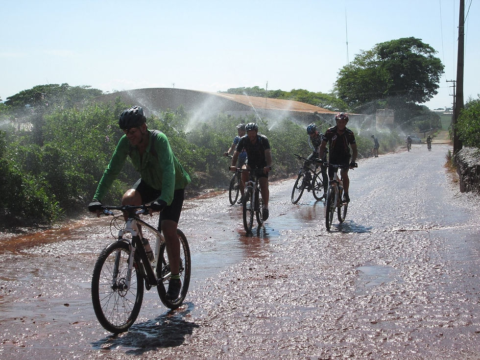 Tour de bicicleta revela ângulos diferentes das belezas de Holambra - Jornal da Cidade - Holambra