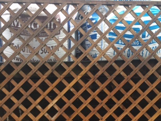How to Build a Trellis from Timber