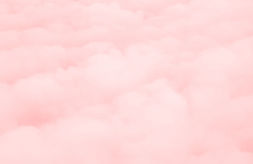 Untitled design (11).jpg