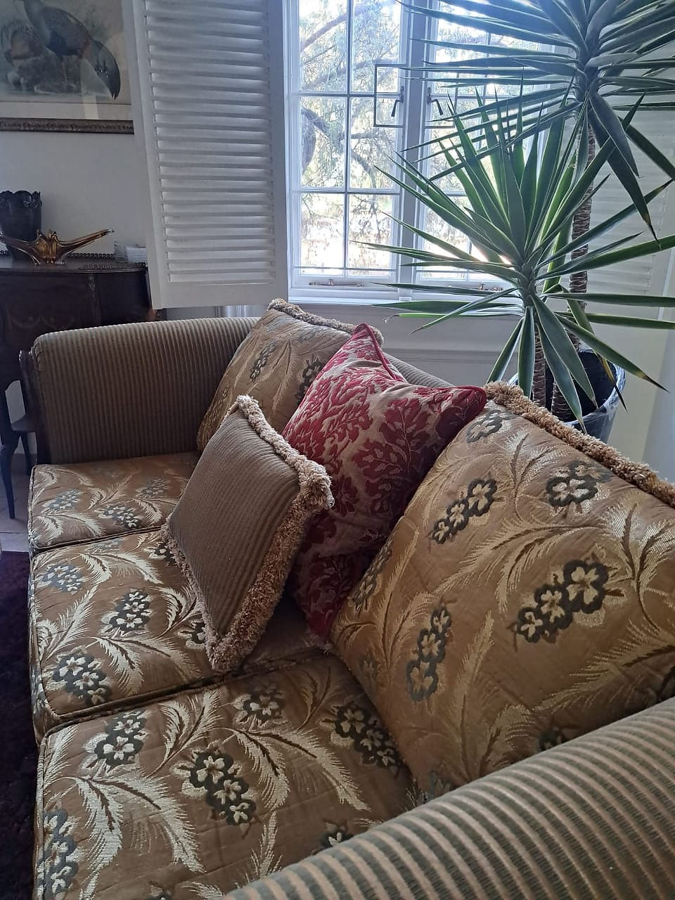 Cozy living space with couch and decorative pillows