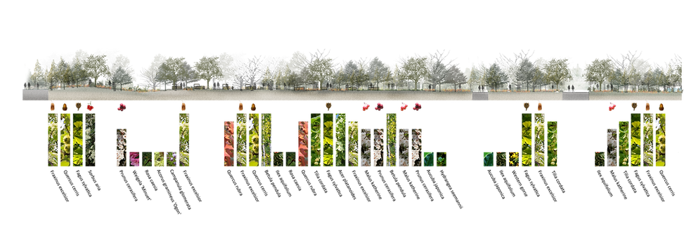 vegetation 2.png