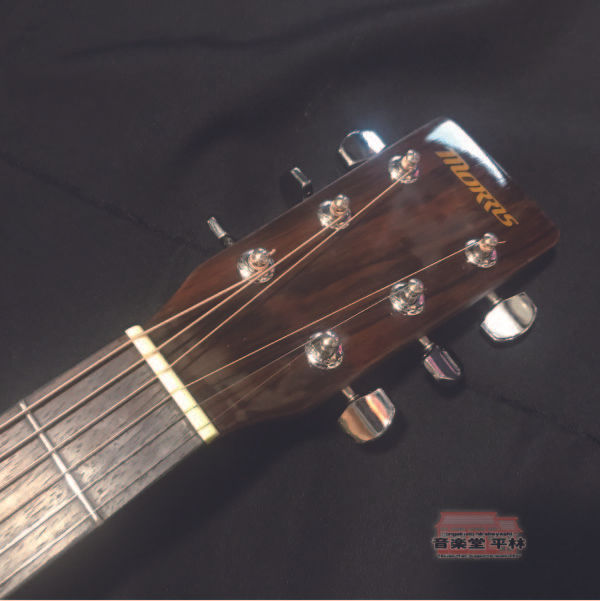 Morris モーリス MD201N アコースティックギター