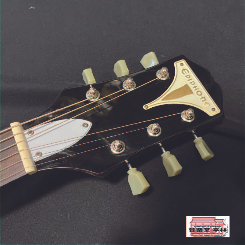 サムネイル： EPIPHONE PRO-1　WR