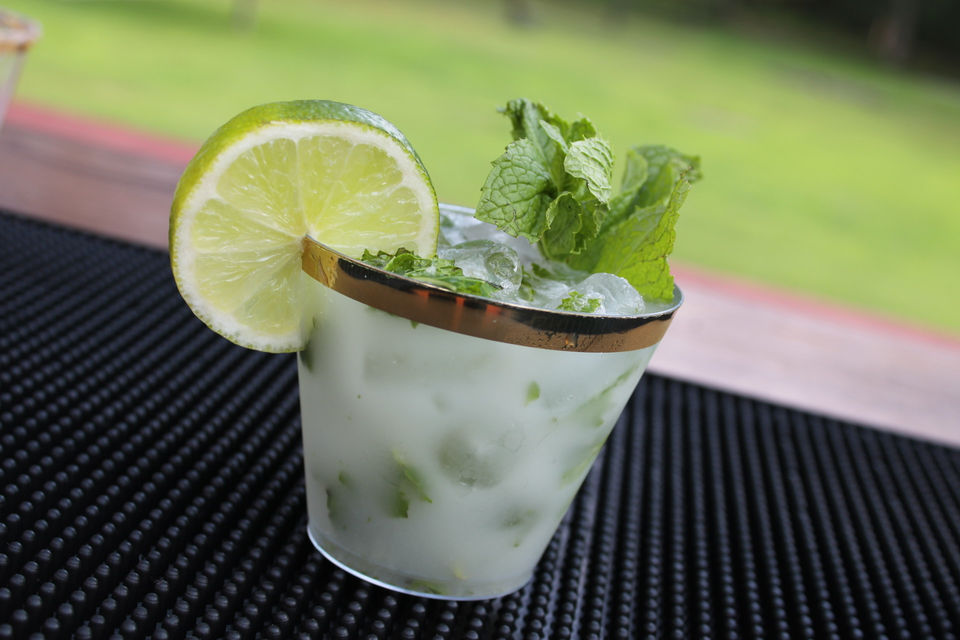 Fresh mojito mocktail with lime wheel and mint garnish served by Sunshine Sips Mobile Bar in South Jersey.
