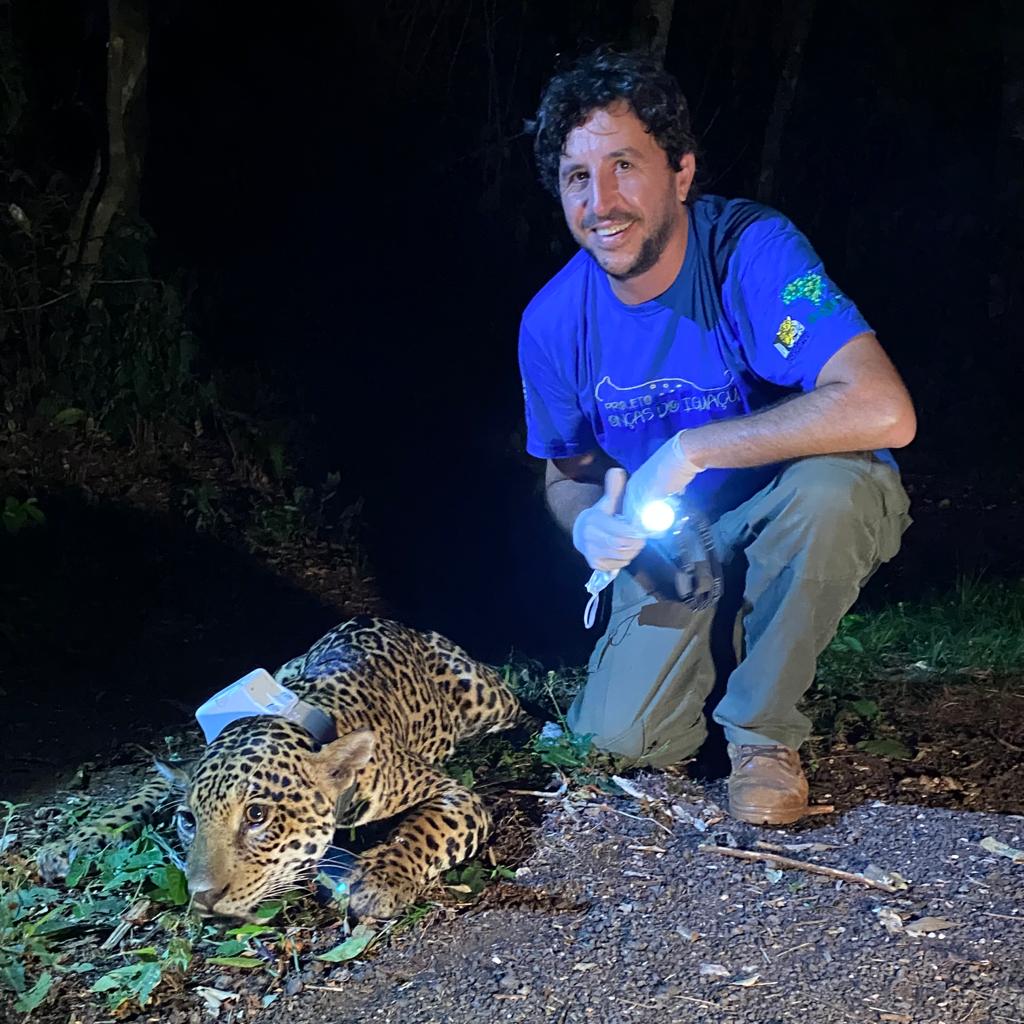 servletrecuperafoto (2).gif