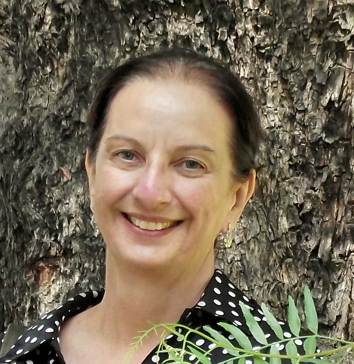 Solange Lima Guimarães.gif