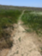 Path Beyond Fencing