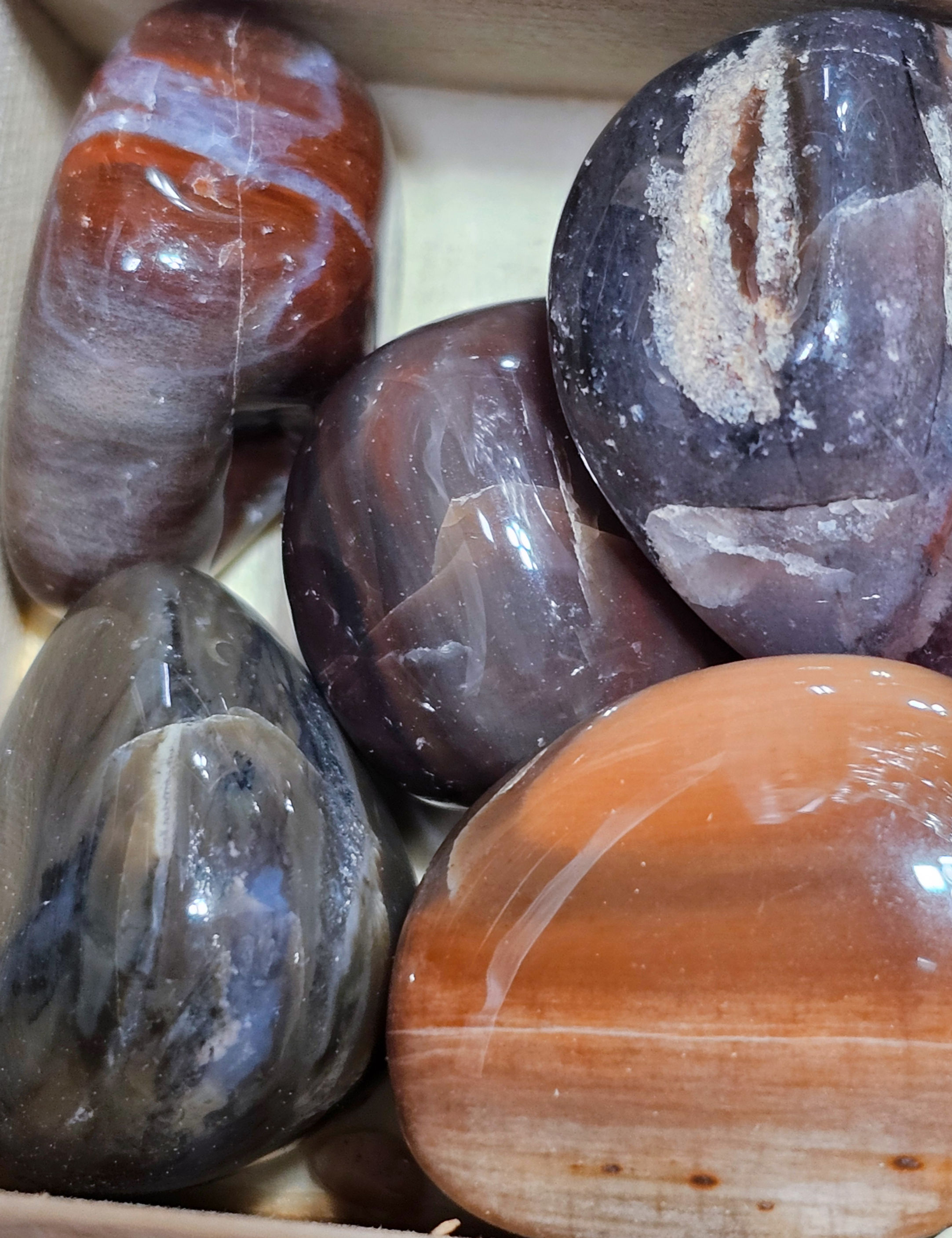 Petrified Wood Tumbles (Medium/Large)