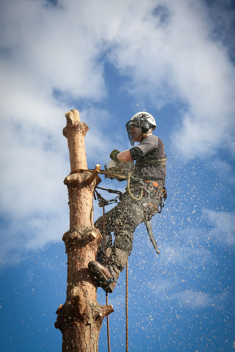 Harry website photos-26.jpg