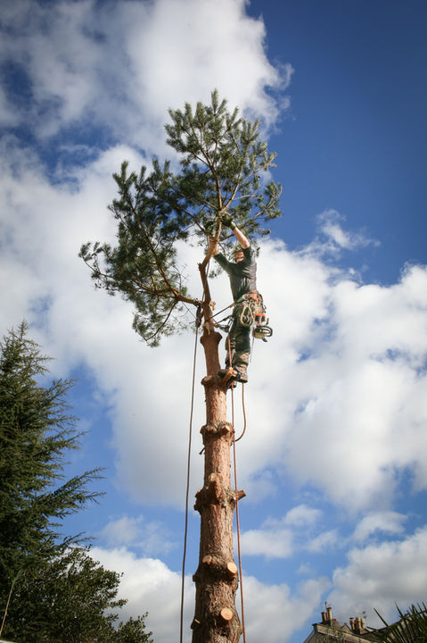 Harry website photos-25.jpg