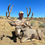 Thumbnail: Mule Deer Hunt Giveaway Ticket