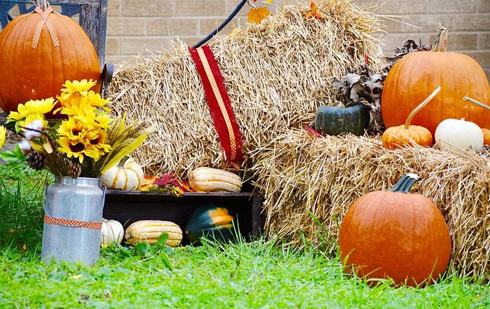 Pumpkins and hay.png