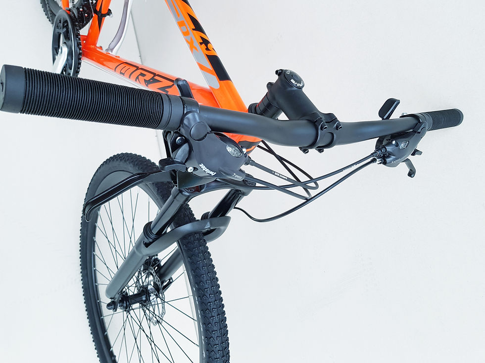 Miniatura: BICICLETAS rin 29 y 27.5