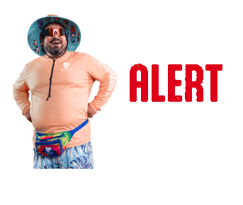 Bob - Cool Dad Alert.gif