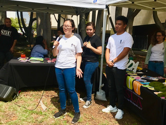 Health and Human Services Mix It Up Event Recap