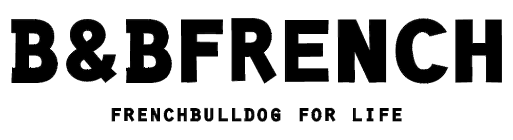 フレンチブルドッグ専門店 B&BFRENCH|広島