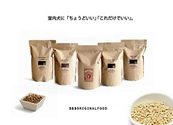 B&BFOOD-案内1.jpg