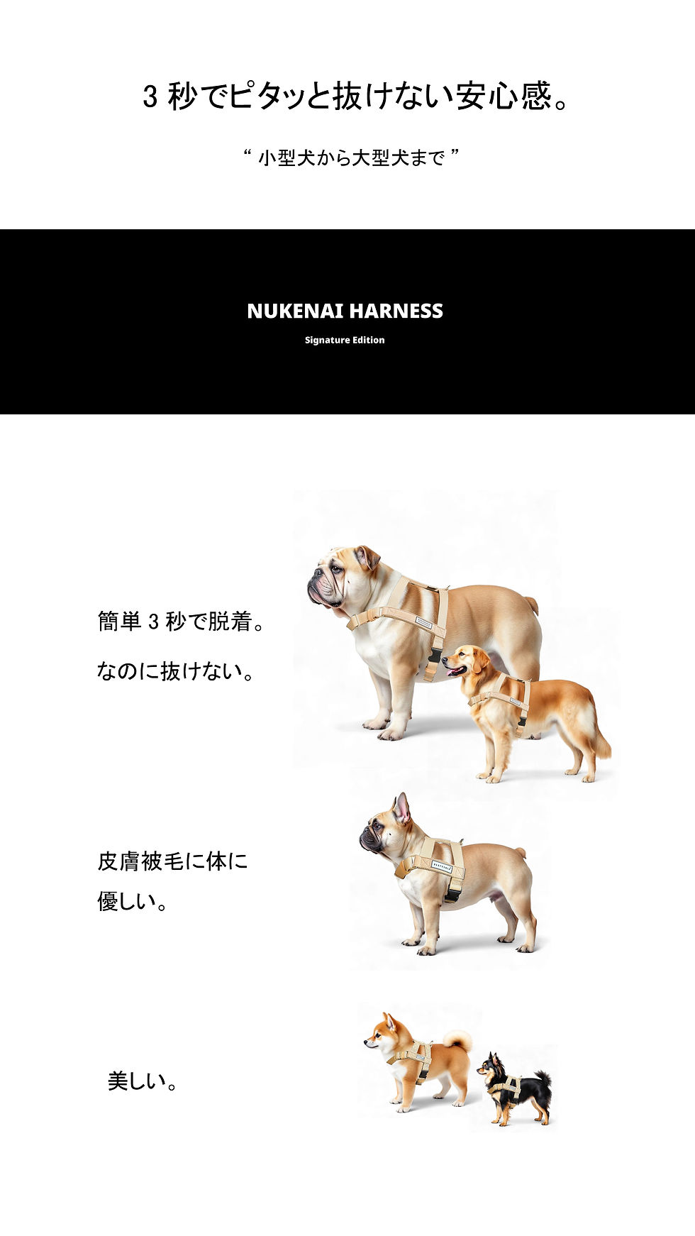 NUKENAI-HARNESS-LP1.jpg