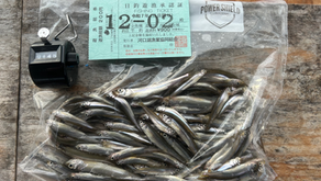 12月2日(火)竿頭145匹!