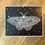 Thumbnail: Magical Moth 8x10 Print