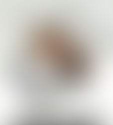 Product recommendations for yall xo