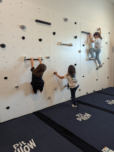 Wall Traverse Bar for Rockwalls (Adjustable) | World Ninja Sport